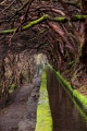 421_Madera_Levada das 25 Fontes